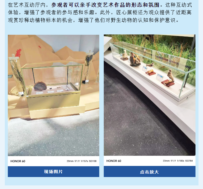 微信图片_20241128152500.png