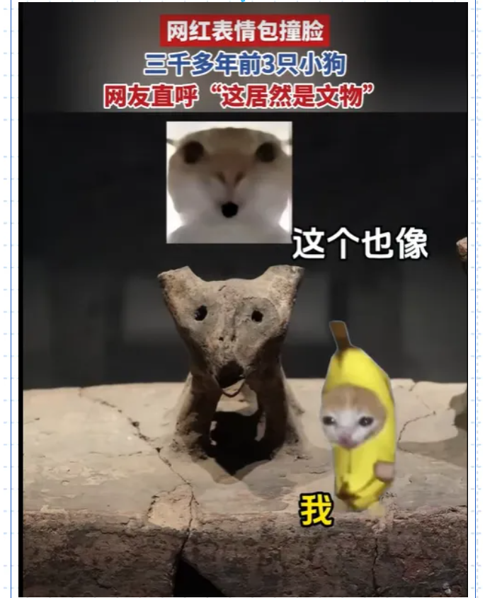 微信图片_20260304091415.png